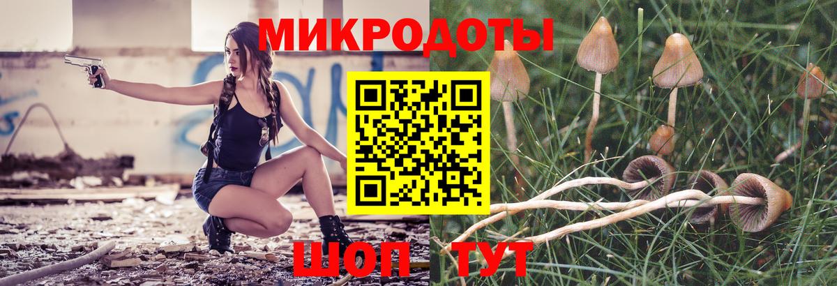 Псилоцибиновые грибы мухоморы Воркута